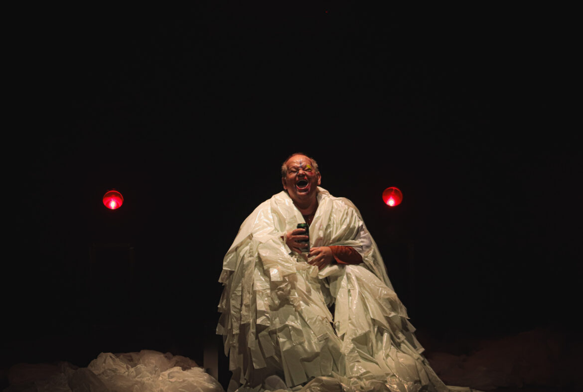 SCARLET Foto de RAPHAEL BRENO – Fernando Verissimo